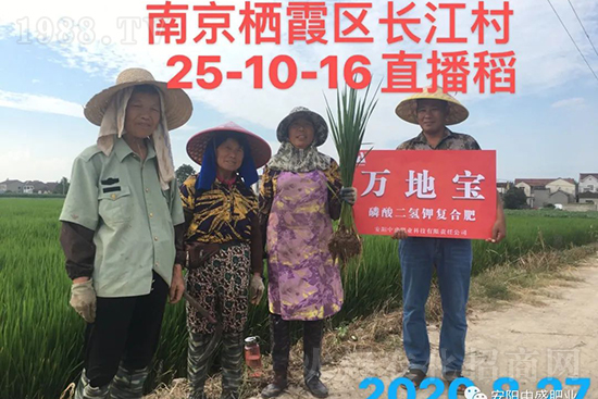 ˮ�����Y���Ì�(du��)�a(ch��n)���ж��Ӱ푣����M(j��n)ˮ�����Y��ô����