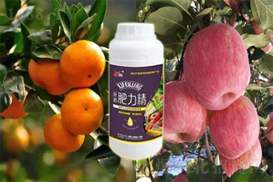 ����׷�ʏ�(f��)�Ϸʺ�߀�����غ����ܶ��˶��e�������������_�x��