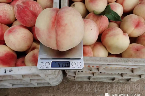 �Ҙ������ô�k���Ҙ����ԭ���A(y��)������