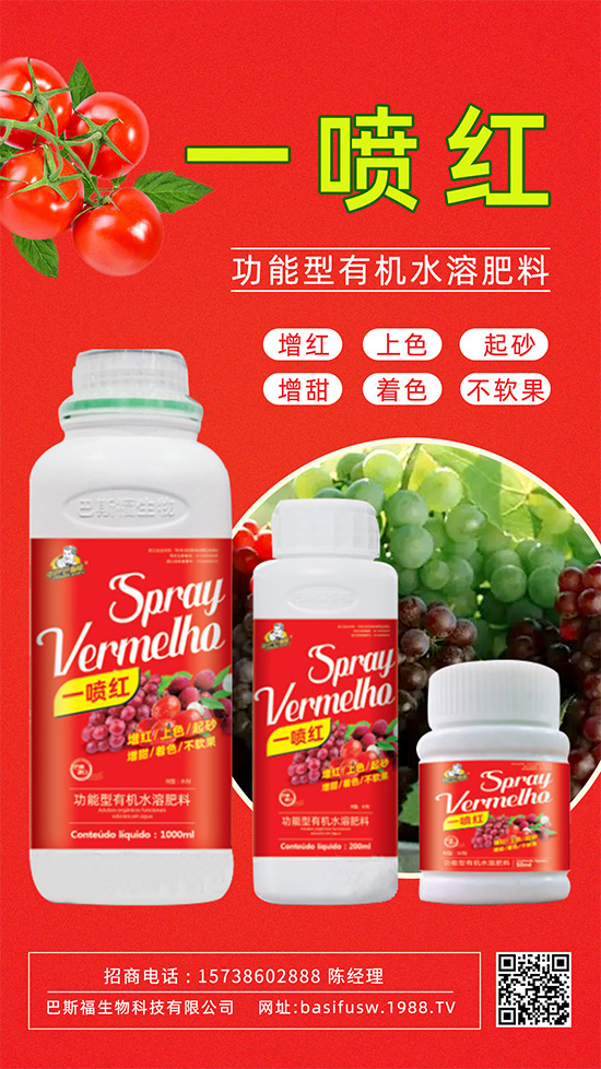 ����(sh��)�D(zhu��n)ɫ����������������������u�r(ji��)������ǰ������