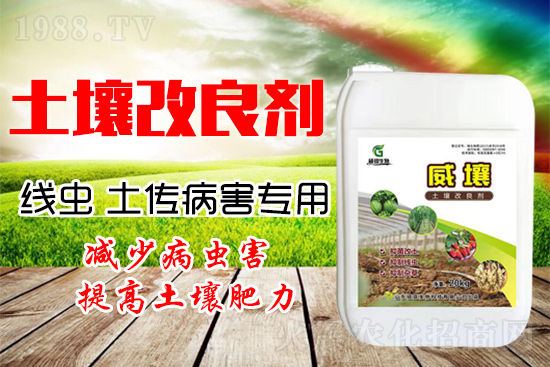 222������Y(ji��)���x������������(y��n)��������һ�з�������