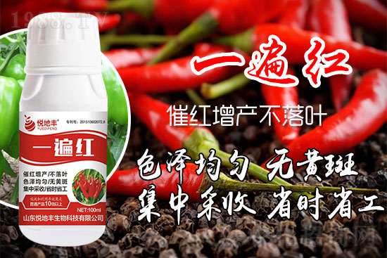 ������ʲôҪ���t���������t��ɫ�Ă����Ӻ���