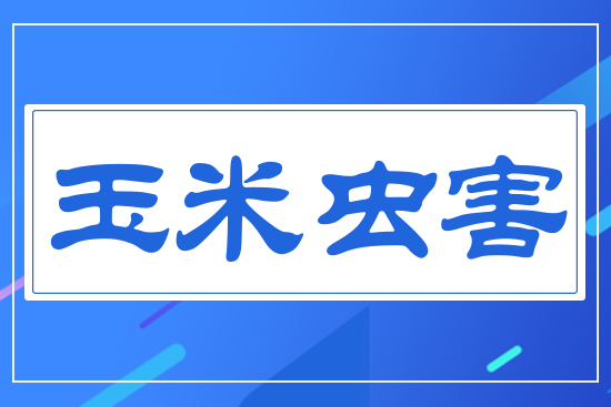 �����x��