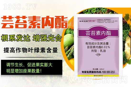 �|̦�؃�(n��i)����ɶ���Q��ֲ�����ˎ���|̦�؃�(n��i)����ô�x��