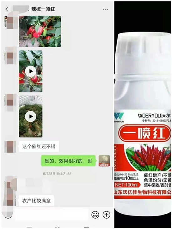 ���t�����95%���߼t�����~�����뷭�׷�����������һ���t��