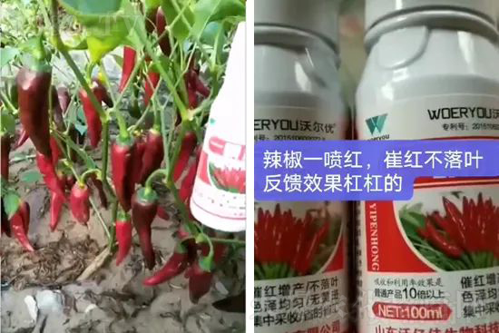 ���t�����95%���߼t�����~�����뷭�׷�����������һ���t��