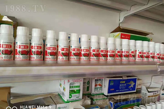 ���t�����95%���߼t�����~�����뷭�׷�����������һ���t��