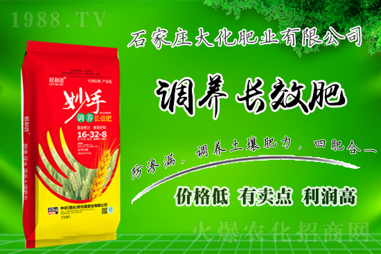 ��(zh��n)�Ժ�����������ʯ���f�󻯷ʘI(y��)�ٴκ��s1988.TV��