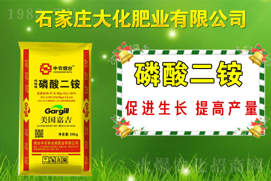 ��(zh��n)�Ժ�����������ʯ���f�󻯷ʘI(y��)�ٴκ��s1988.TV��