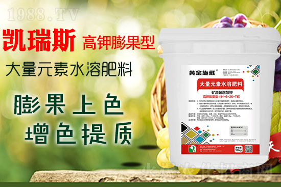     ���M(j��n)���������ɫ���@���䷽��(zh��n)�]�e���������|(zh��)���a(ch��n)��