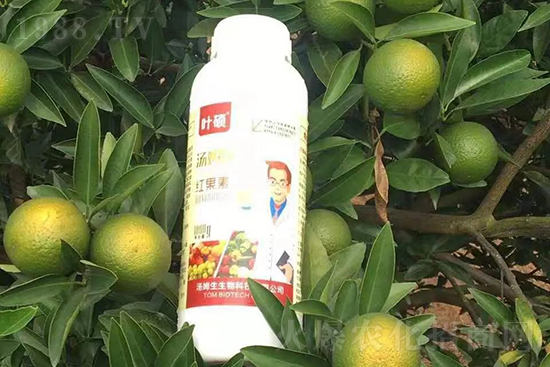 �t���ء�ֻ���D(zhu��n)ɫ�������D(zhu��n)ɫ���������߼t���ó