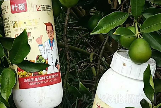 �t���ء�ֻ���D(zhu��n)ɫ�������D(zhu��n)ɫ�졢�����߼t���ó