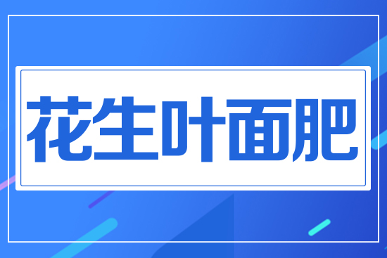 �����~���