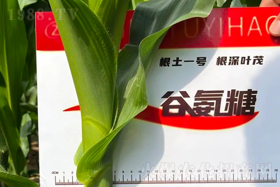 ��Դ��������ɣ��I�B(y��ng)�a(b��)��ȫ����