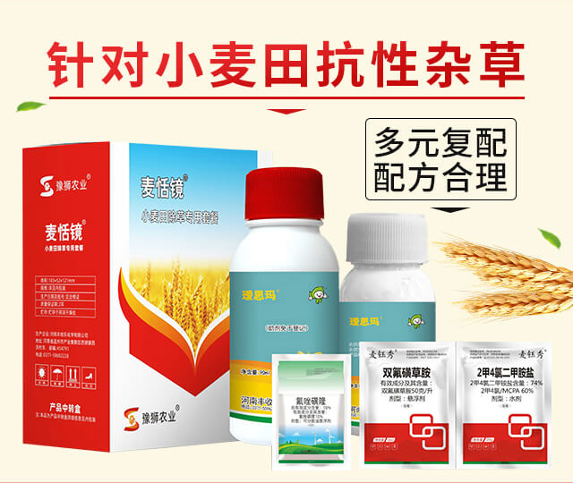 �����R-�S�՘�_02