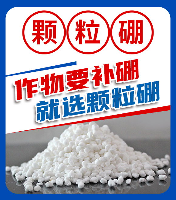 ɽ�|��������Ƽ����޹�˾-�֙Cվ(���壩