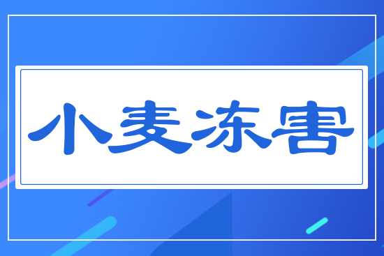 С������