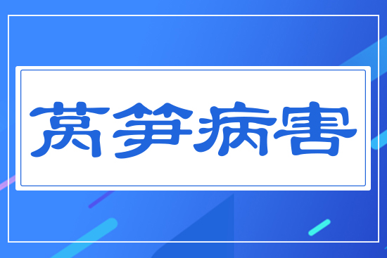 ���n�S����