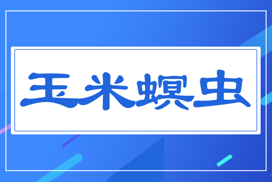 �������x