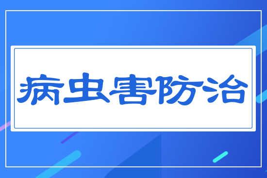 ���x(ch��ng)������