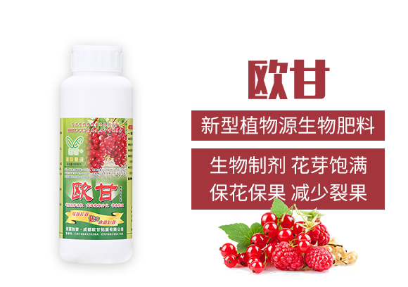 �ɶ��W����չ���޹�˾_02