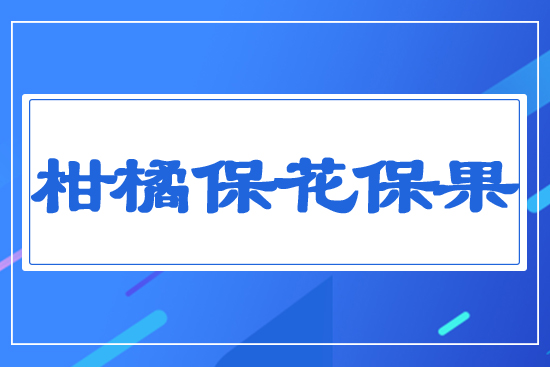 ���ٱ�������