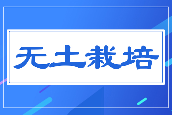 �o������