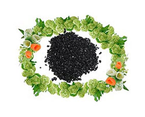 ��(n��i)�ɹŞ����Є�(chu��ng)(li��n)��ֲ���}�ӹ����޹�˾