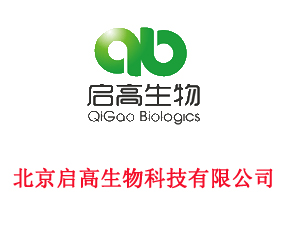 ������������Ƽ����޹�˾