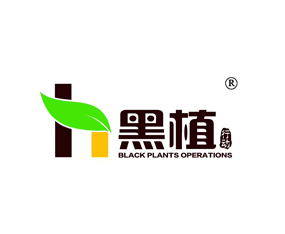 ��(n��i)�ɹ������r(n��ng)�I(y��)�Ƽ����޹�˾