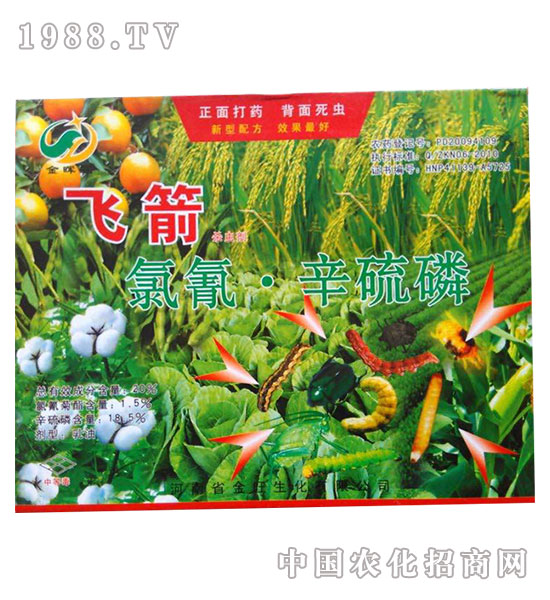 20%����������-�w��-�����rˎ