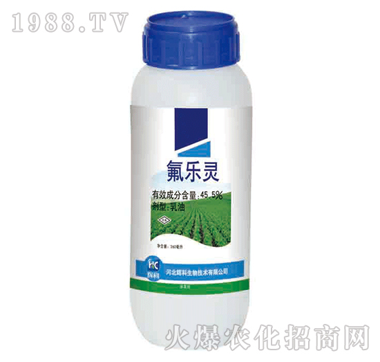 45.5%�����`-�x��