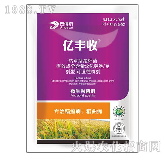 ���ε�����������-�|�S��-����̩