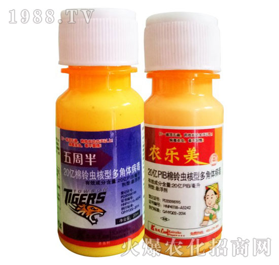 ����x���Ͷ���w����-���ܰ�+�r(n��ng)��(l��)��-�P���