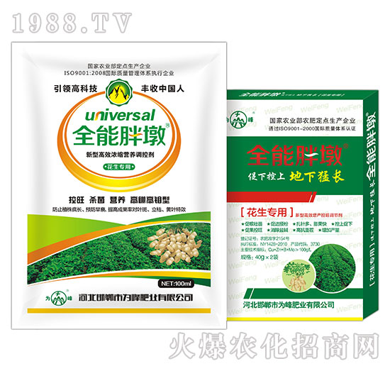 ��������-ȫ���ֶ�-���