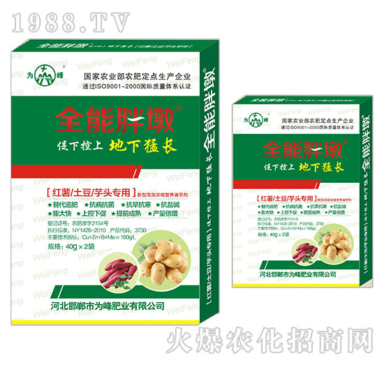 �t�������������^����-ȫ���ֶ�-���