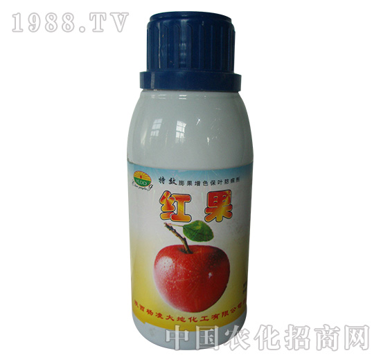 �t��-�W��˹