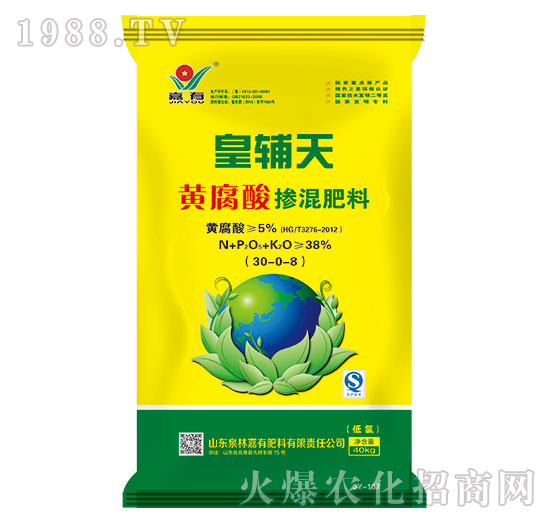 ���o���S���ᓽ�����30-0-8-���з���