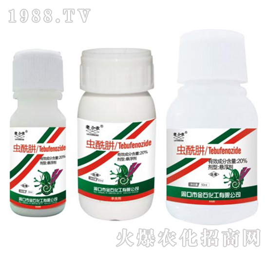 20%�x(ch��ng)����-�����r(n��ng)