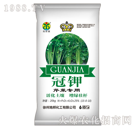 �۲ˌ���-���-�ذ�Ȫ