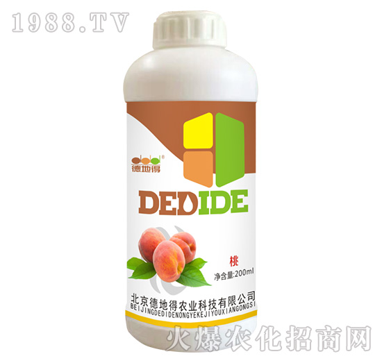 �Ҍ���-�µص�