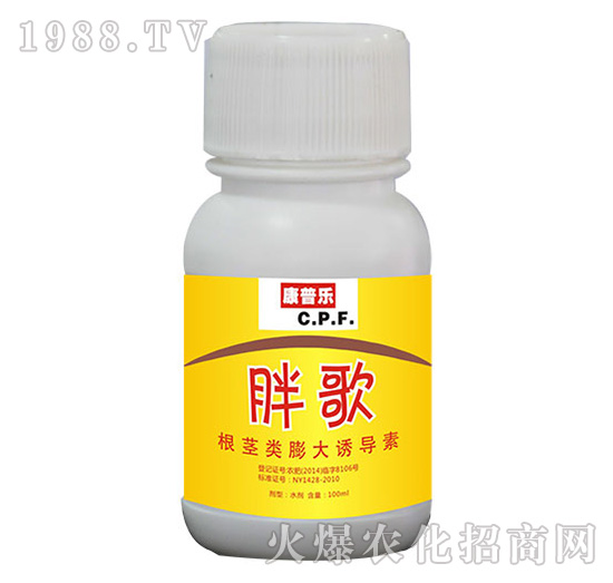 �ָ裨���o���������أ�-�r(n��ng)�_����