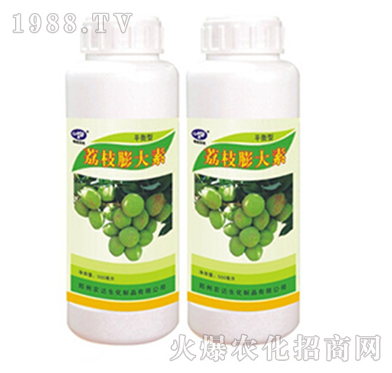 ��֦�����-�r�_����