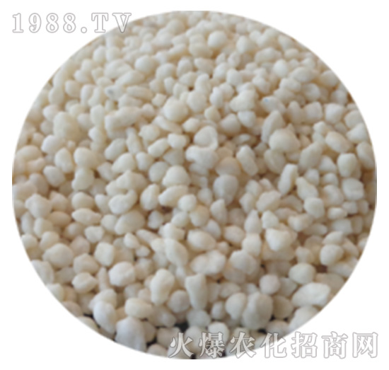 �������ጵ���