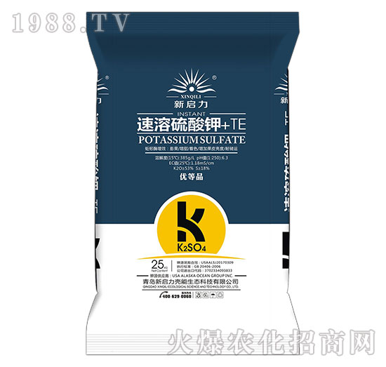 ���������+TE-����