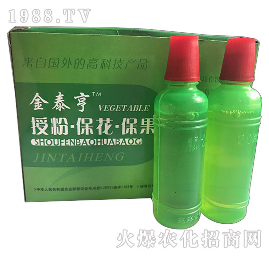 ��̩��-�ڷ۱���������