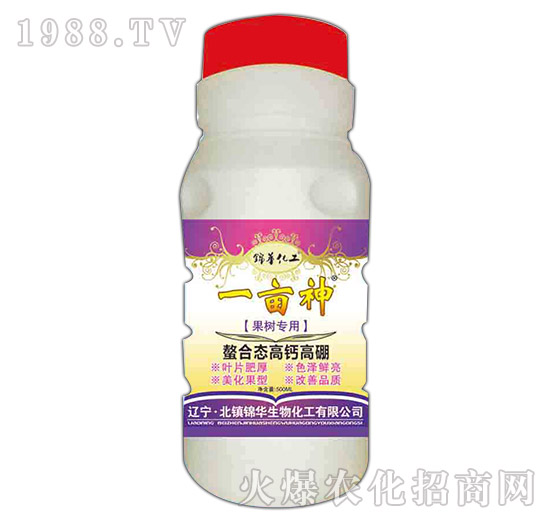 ����(sh��)��(zhu��n)�����ϑB(t��i)���}����-һ����