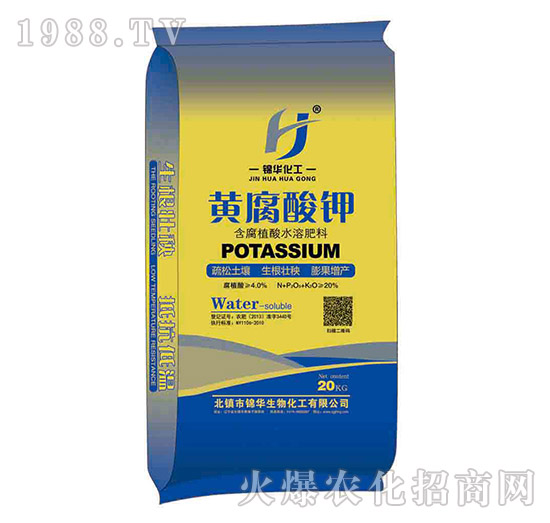 �S�����-һ����