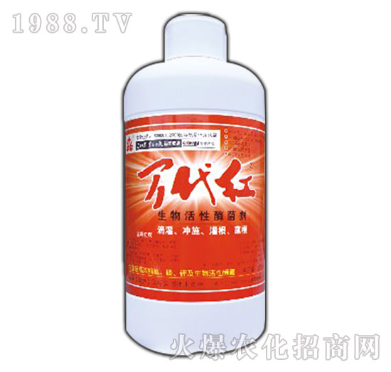 �������ø����-�f���t-�G��