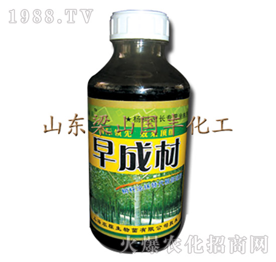 ��ɲ�-��ɽ���S